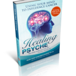 Healing Psyche - Rob van Overbruggen Ph.D.